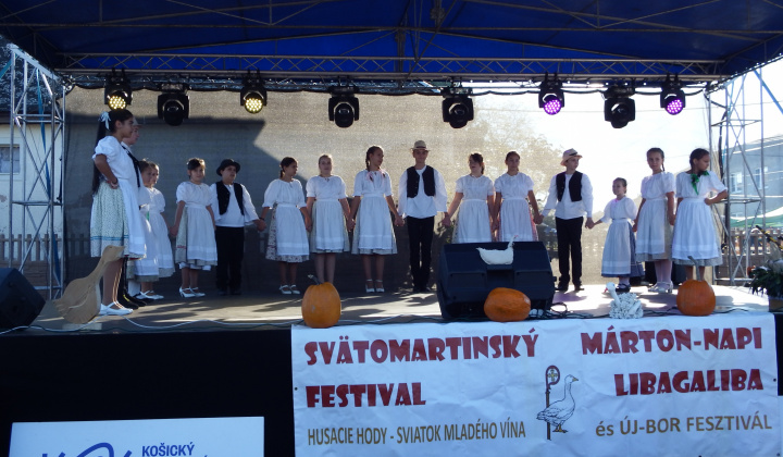 XII. Svätomartinský festival - LibaGaliba 2024